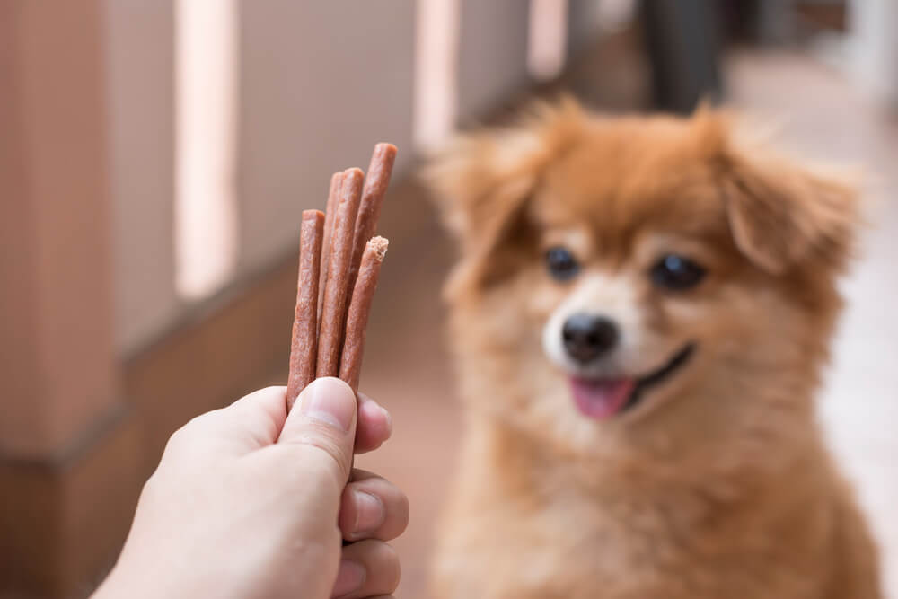 What is a Bully Stick