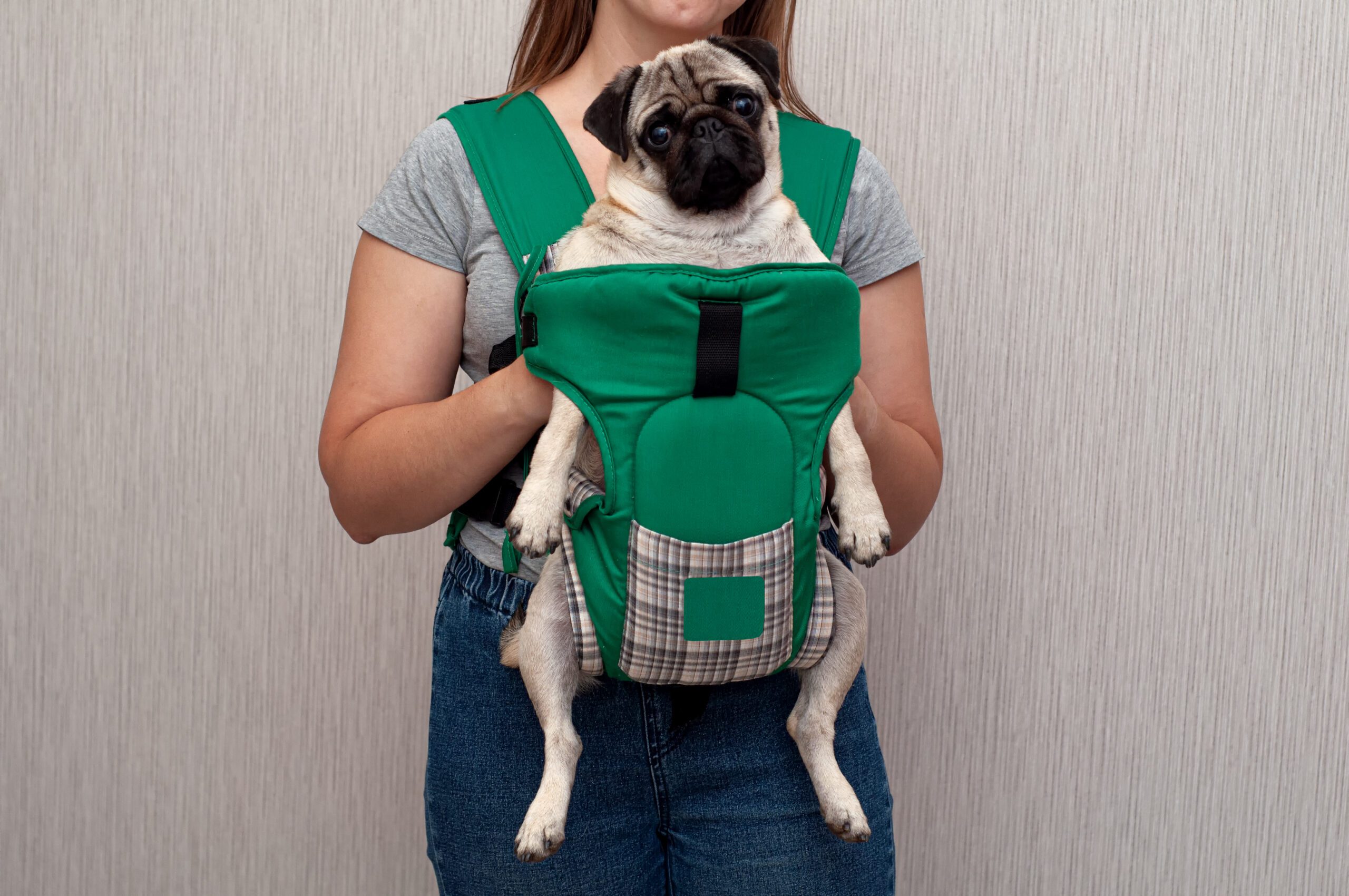 What-is-the-Best-Front-Dog-Backpack-Carrier