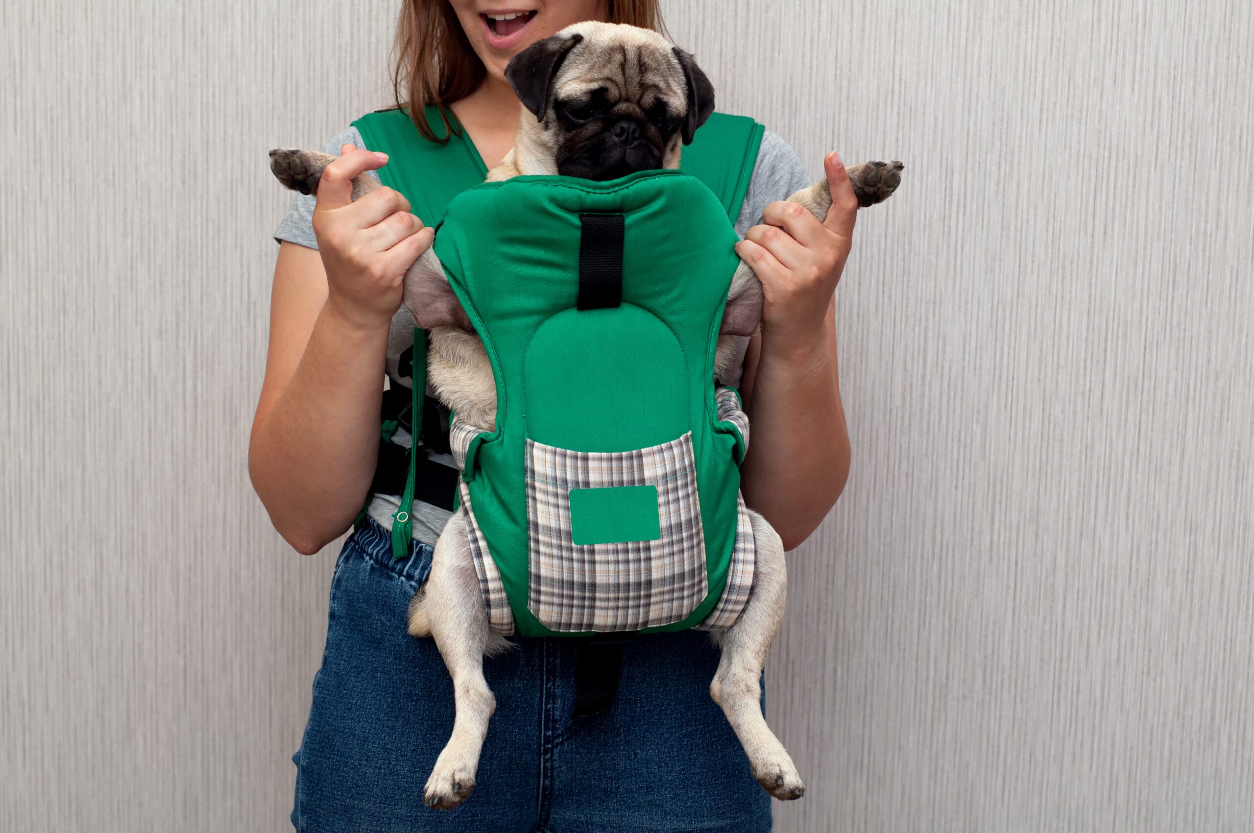 Why-Buy-a-Front-Dog-Carrier-Backpack-scaled