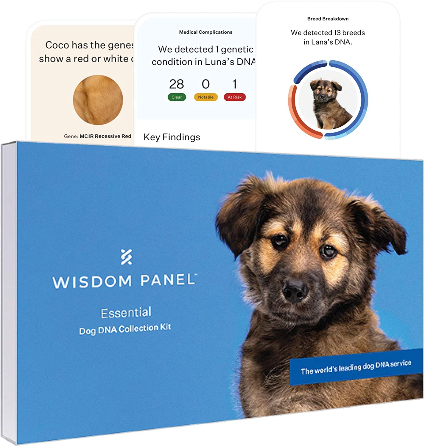 Wisdom Panel Essential Dog DNA Test