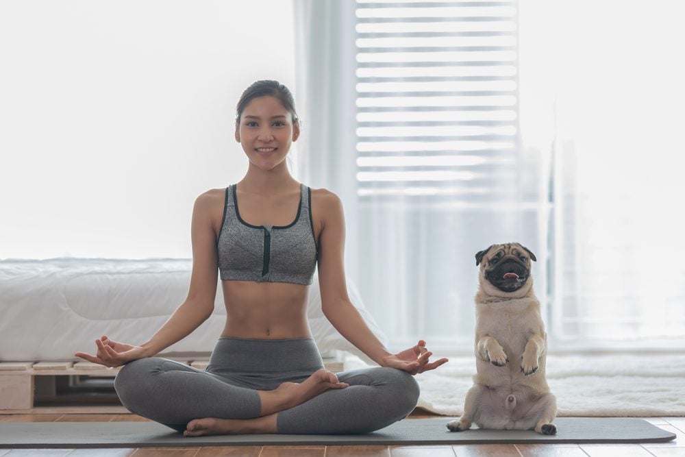 benefits of dog yoga