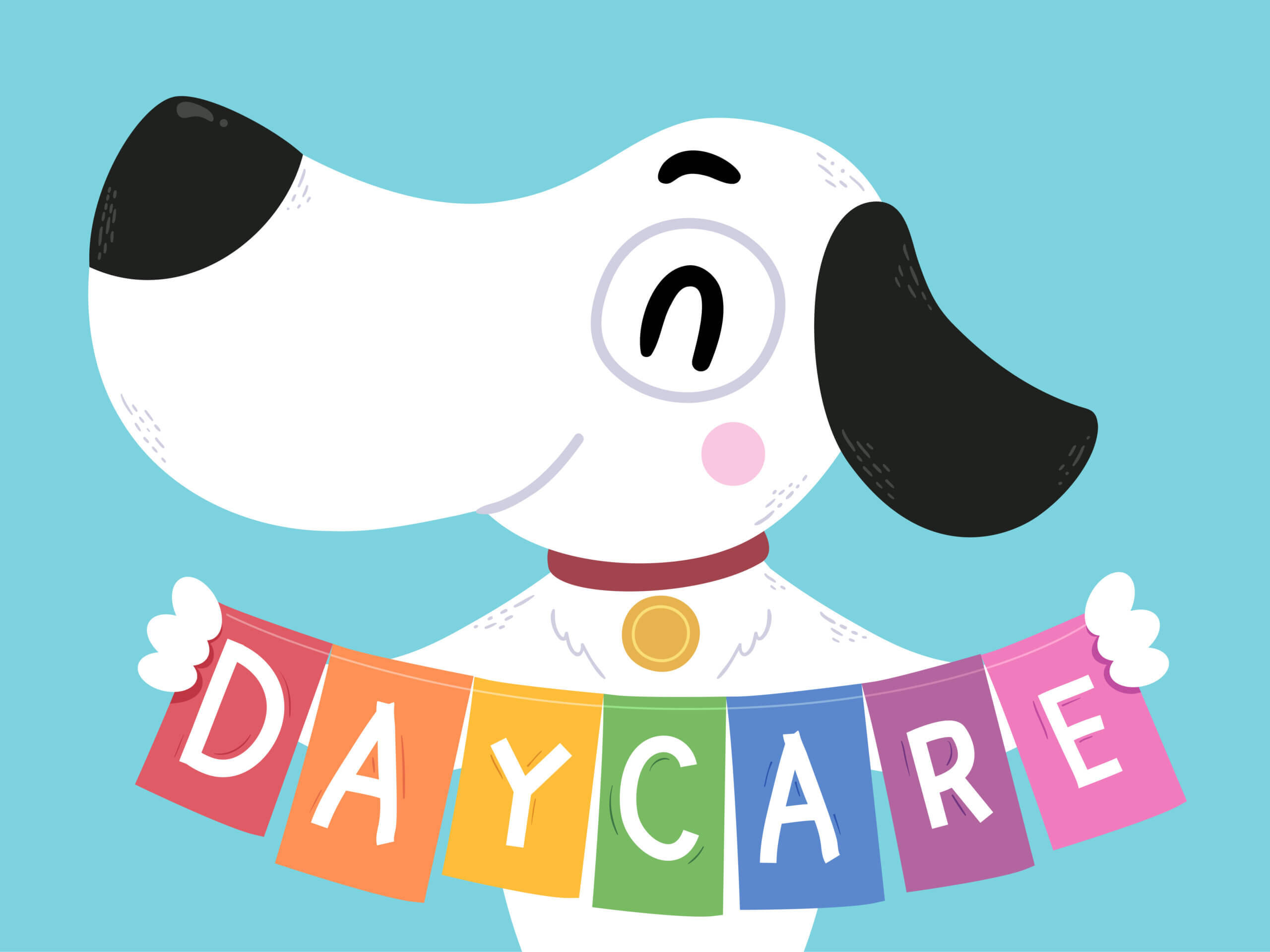 best dog daycares
