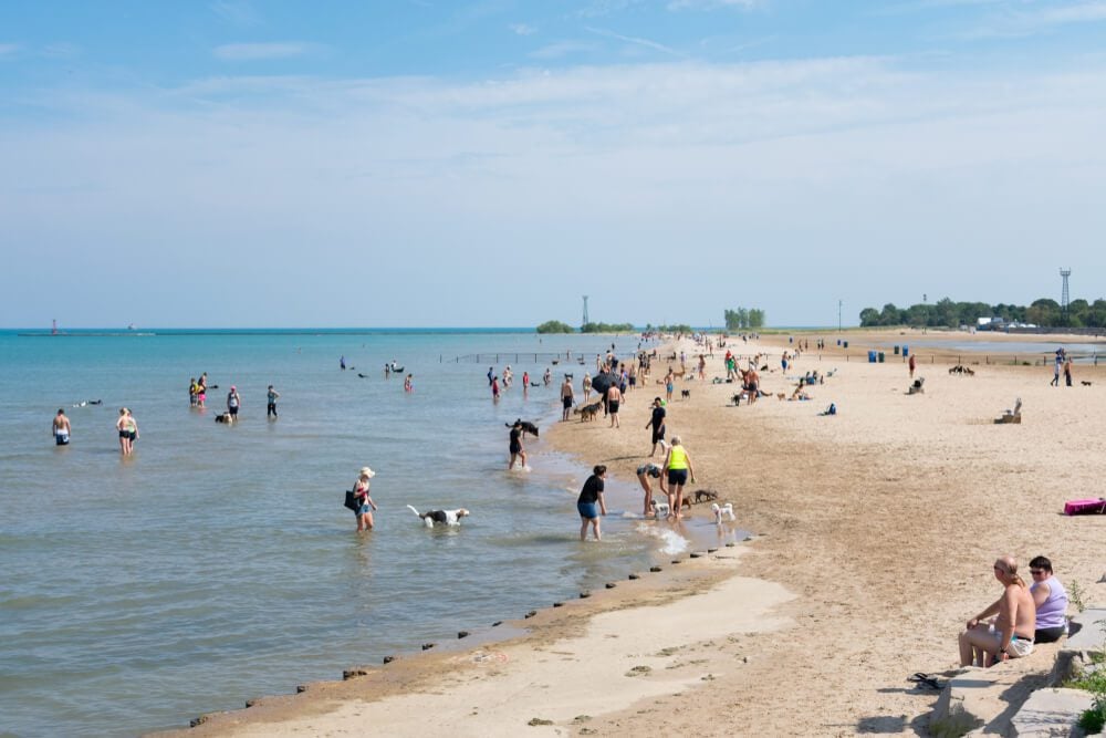 best dog friendly beaches in Chicago