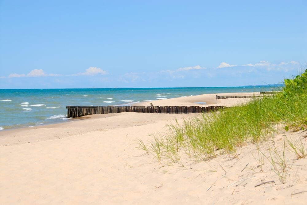 best dog friendly beaches in Michigan