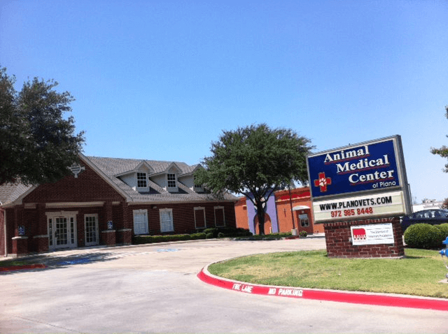 Best vets in Fort Worth