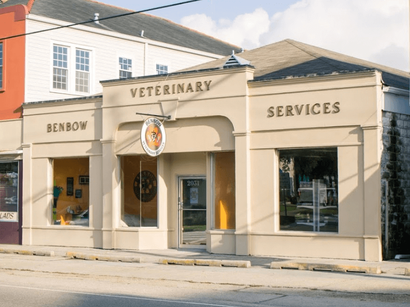 best vets in new orleans