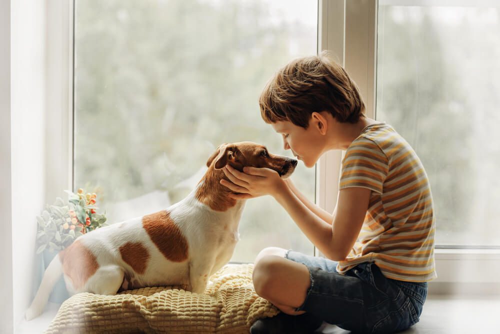 caring for your new dog