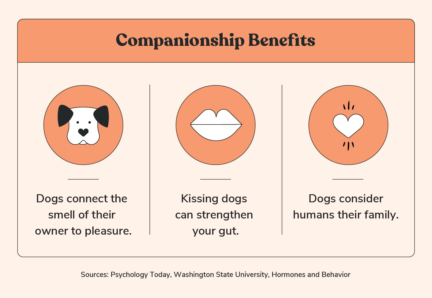 companionship benefits of having a dog
