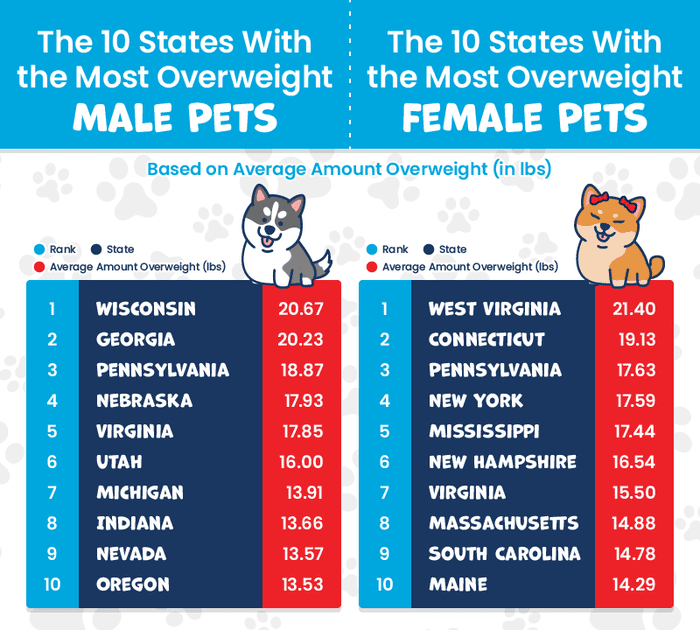 charts showing the states with the most overweight male and female pets