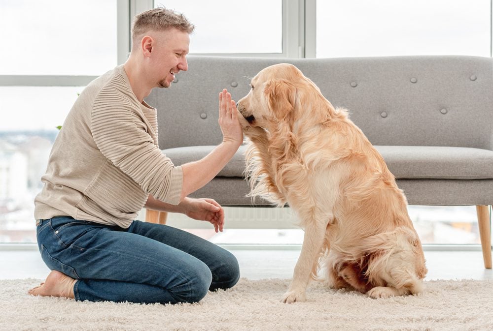giving your dog galliprant
