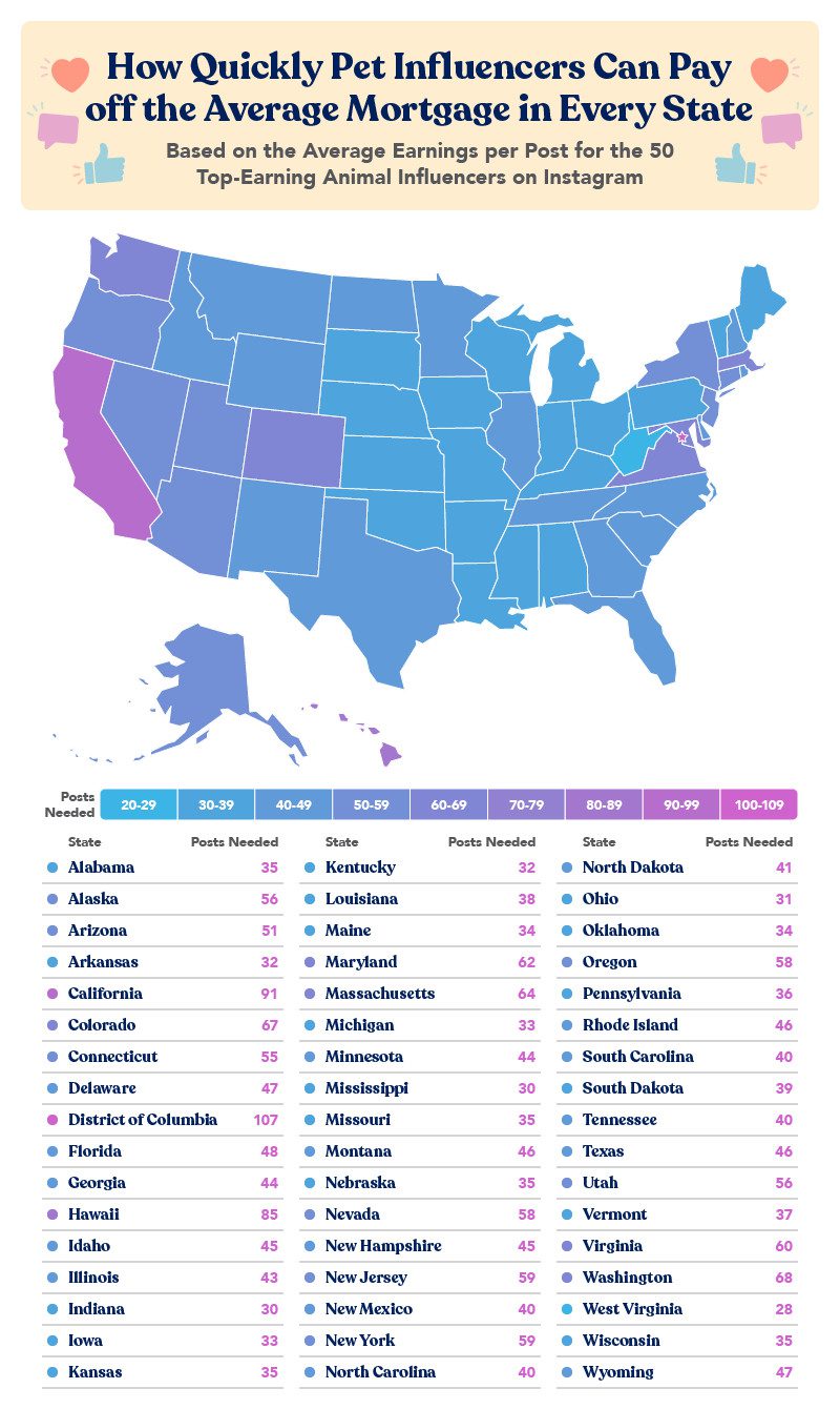 Map showing how quickly pet influencers can pay mortgages in every state