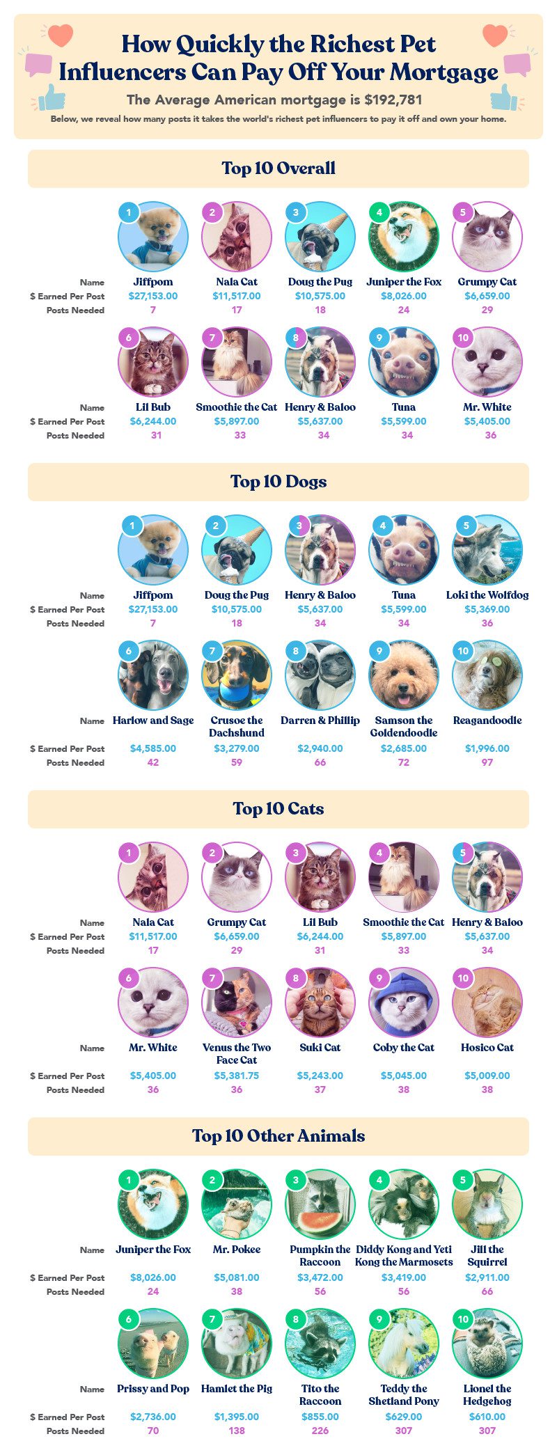 Chart showing categories of richest pet influencers and their earnings