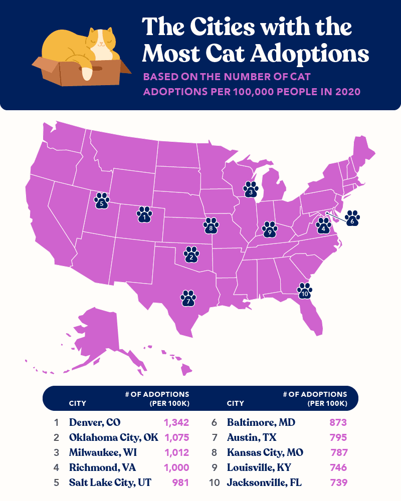 Map displaying the US cities with the most cat adoptions