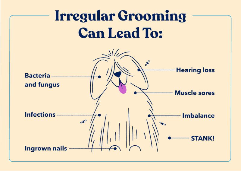 irregular-grooming
