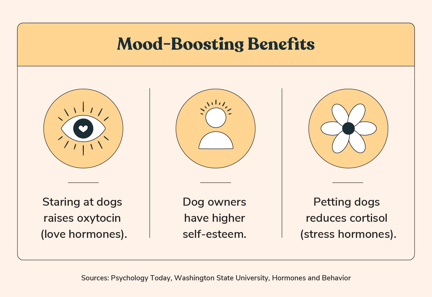mood boosting benefits of having a dog