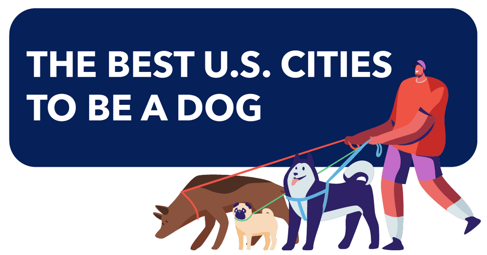 most dog friendly cities