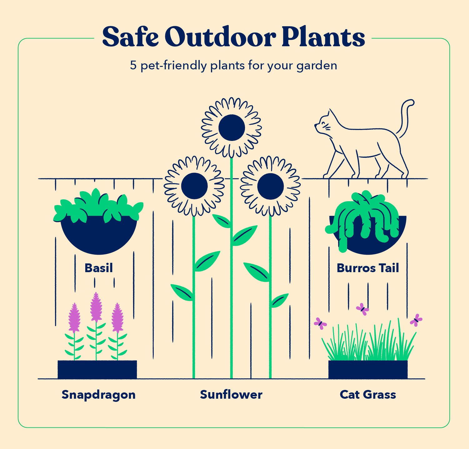 a cat walks across a fence outside and is surrounded by pet-safe outdoor plants, including Basil, Burros Tail, Cat Grass, Sunflowers, and Snapdragons