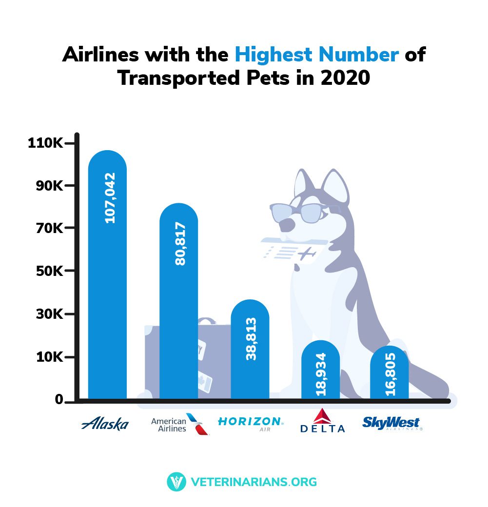 pet friendly airline transport numbers