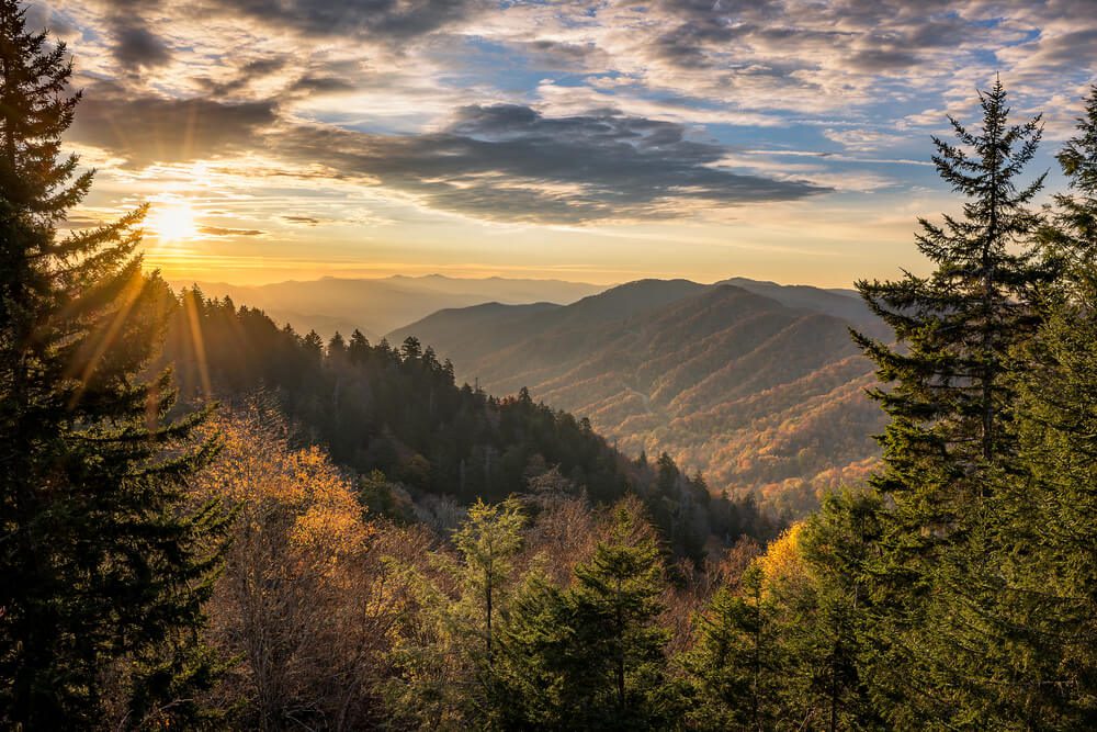 pet friendly hotels in smoky mountains Tennessee
