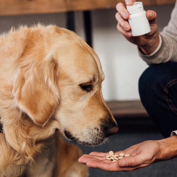 pet health products