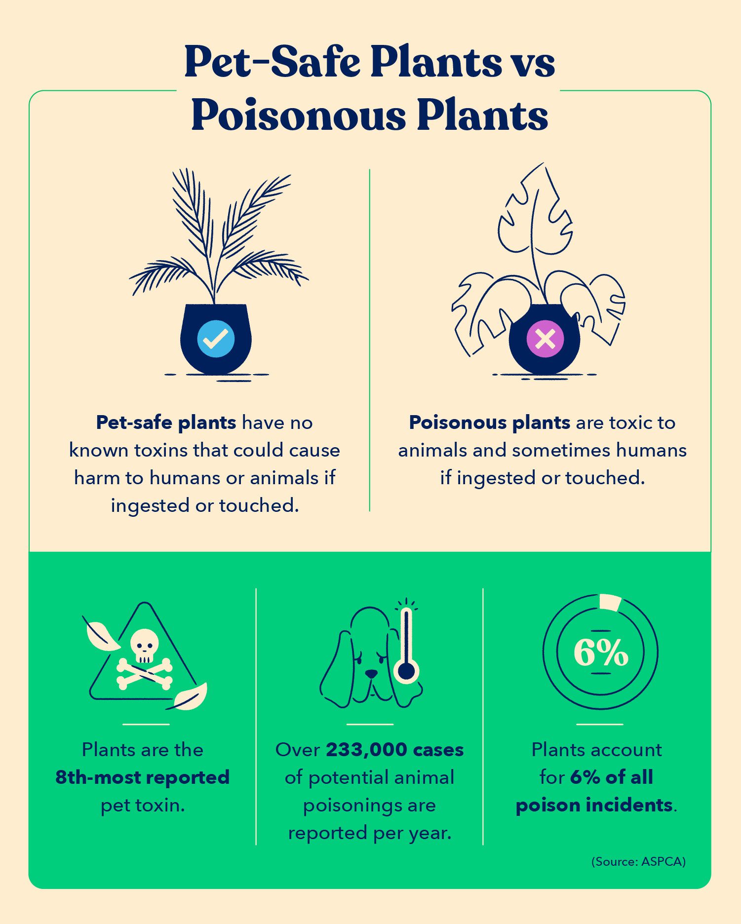an explanation of pet-safe plants versus toxic plants to pets, plus ASPCA statistics on pet poisonings
