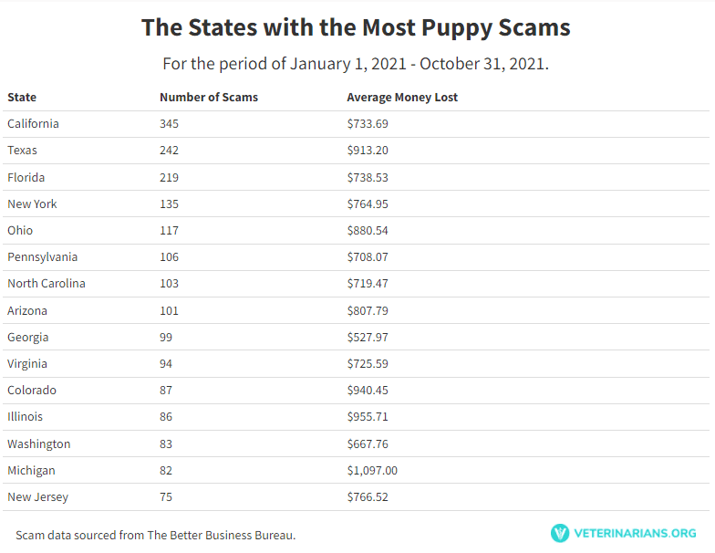 states with the most puppies for sale scams