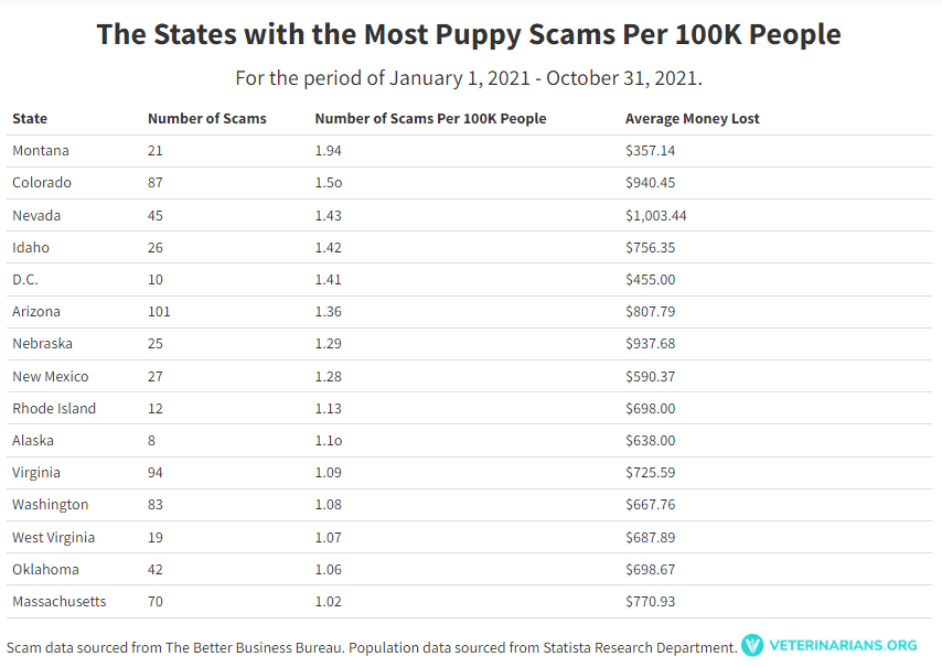 the states with the most puppy scams per 100K people