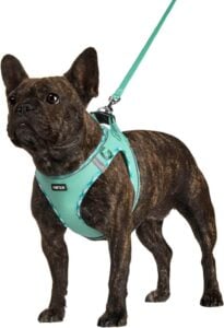 AMTOR Adjustable and No Pull Dog Harness with Leash Set