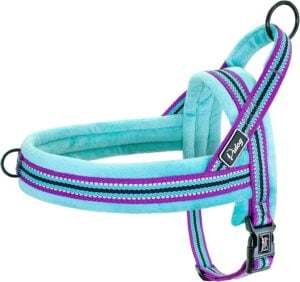 Didog Soft Flannel Padded Escape-Proof Dog Harness with Reflective Dog Strap