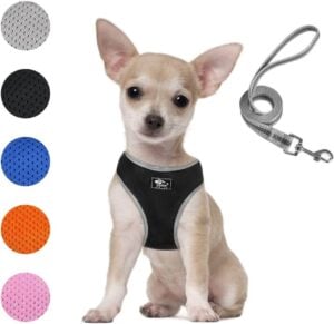 Dociote Adjustable, Reflective, Step in, No Pull Harness for Dogs