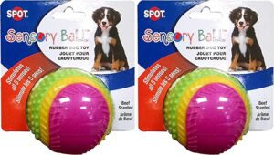 Ethical Pets Sensory Ball Dog Toy