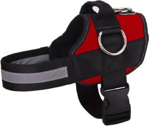Joyride Harness Adjustable Soft-Padded Escape Proof Dog Harness with 3 Side Rings for Leash Placement