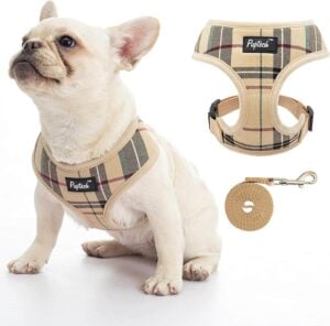 PUPTECK Soft Mesh Small Dog Harness
