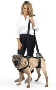 PetSafe Full Body Dog Lift Harness with Handle & Shoulder Strap