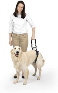 PetSafe Rear Support Harness Lifting Aid with Handle and Shoulder Strap