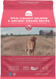 Wild caught salmon with ancient grains dog food
