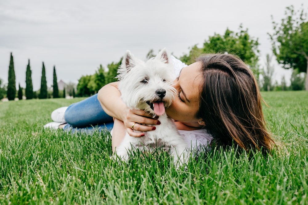 better bonding with your dog