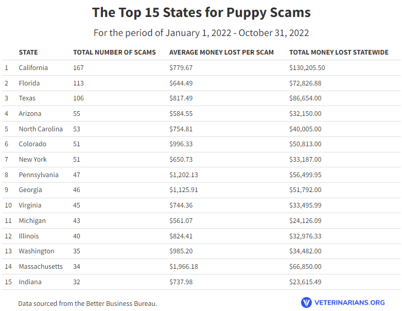 The top 15 states for puppy scams