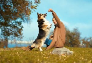 Vitamin D3 for Dogs