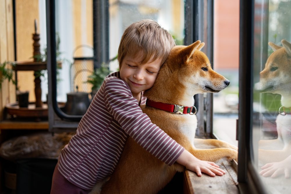 six ways to help a dog with depression