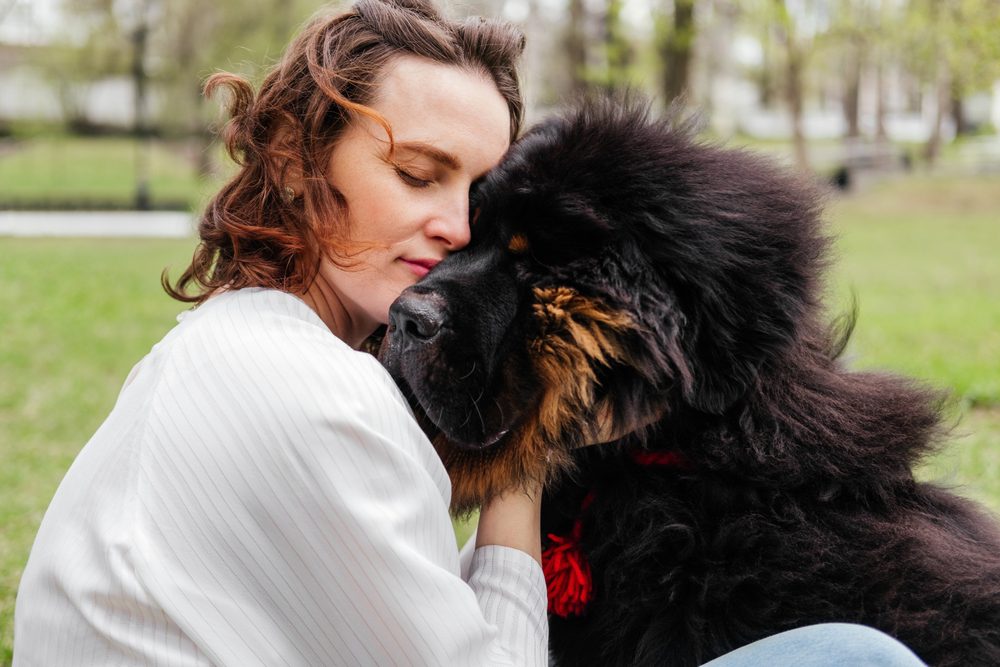 the importance of a strong bond with your dog