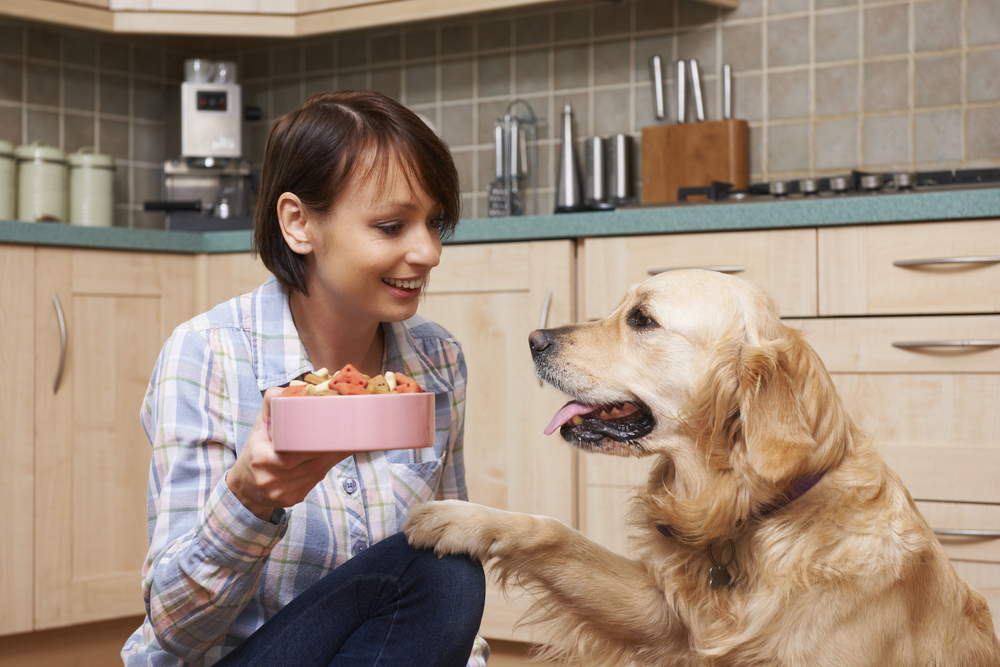 woman feeding her dog food