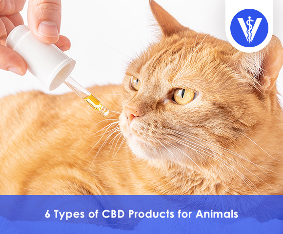 CBD Products for Animals