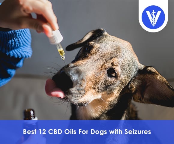 Best CBD Oils For Dogs with Seizures