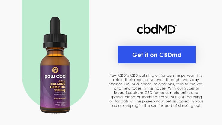 cbdMD Calming CBD Oil for Cats