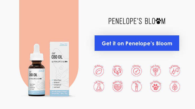 Penelope’s Bloom CBD Oil for Cats