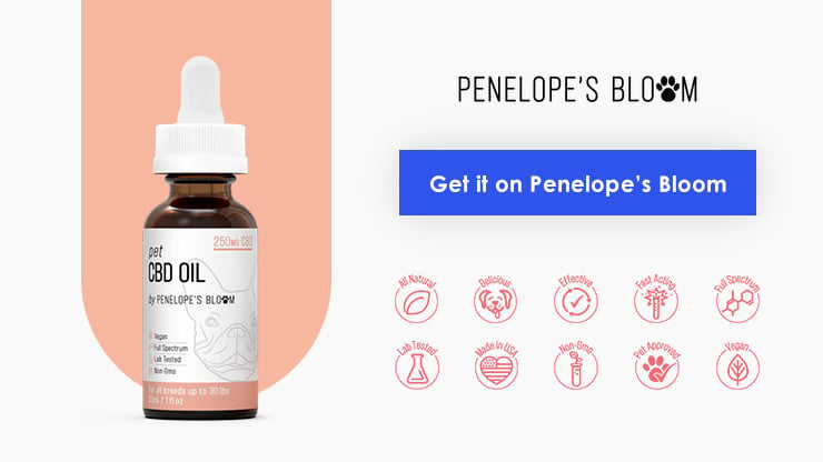 Penelopes Bloom CBD Oil