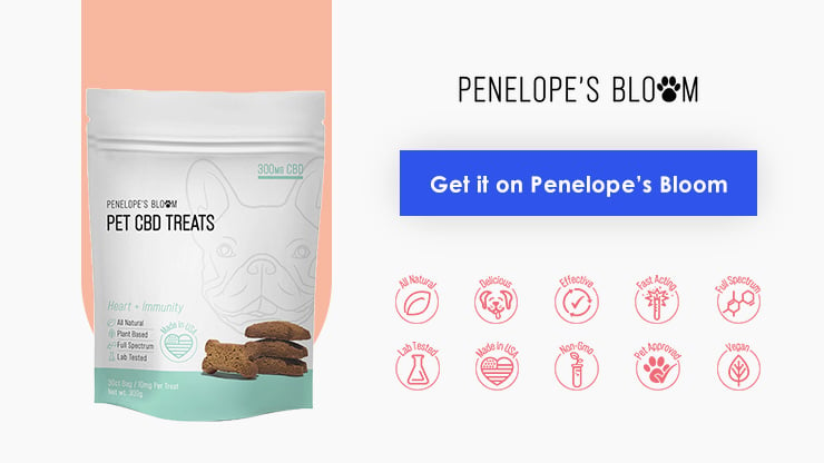 Penelope’s Bloom CBD Treats