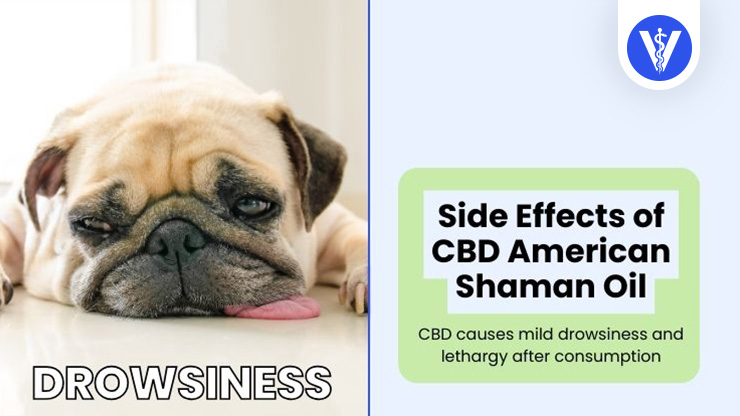 CBD American Shaman Oil Side Effects Drowsiness