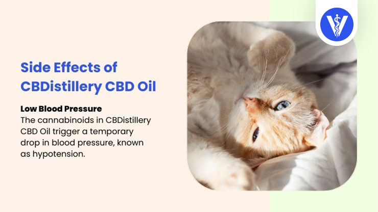 CBDistillery CBD Oil Side Effects Low Blood Pressure